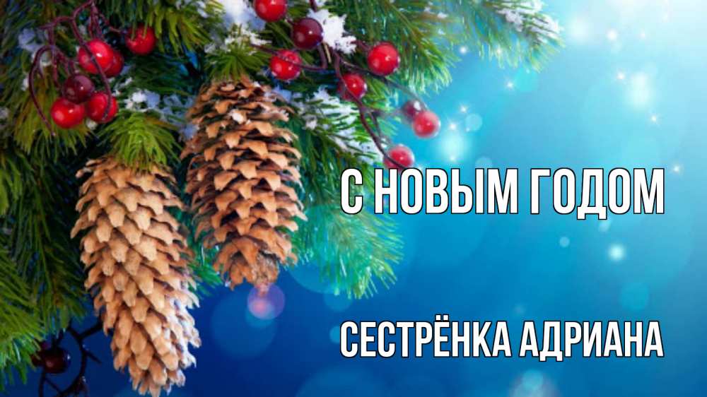 Открытка на каждый день с именем, Сестрёнка-Адриана С новым годом Новый год, ель, шишки Прикольная открытка с пожеланием онлайн скачать бесплатно 
