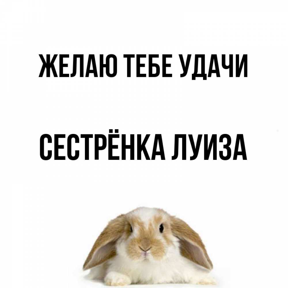 Открытка на каждый день с именем, Сестрёнка-Луиза Желаю тебе удачи открытки с произвольным текстом который можно вставить в открытку и создать ее самостоятельно бесплатно онлайн Прикольная открытка с пожеланием онлайн скачать бесплатно 