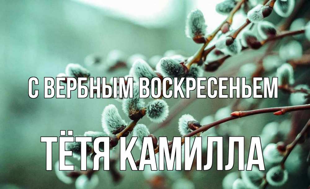 Открытка на каждый день с именем, Тётя-Камилла С вербным воскресеньем верба Прикольная открытка с пожеланием онлайн скачать бесплатно 