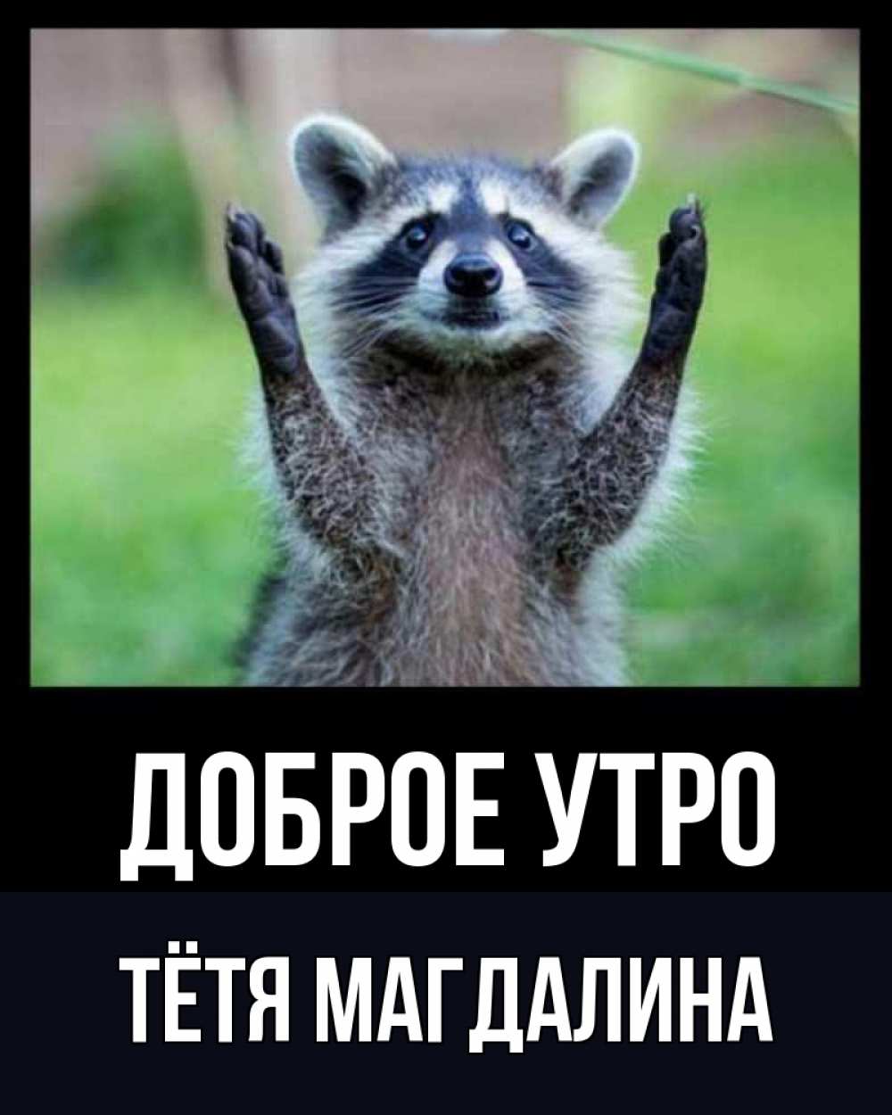 Открытка на каждый день с именем, Тётя-Магдалина Доброе утро хорошее настроение утречком Прикольная открытка с пожеланием онлайн скачать бесплатно 