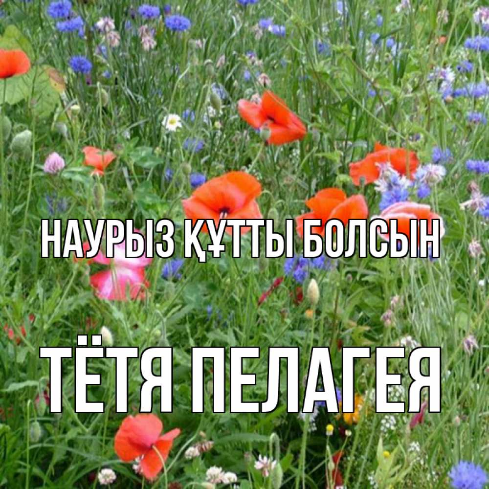 Открытка на каждый день с именем, Тётя-Пелагея Наурыз құтты болсын наурыз  4 Прикольная открытка с пожеланием онлайн скачать бесплатно 