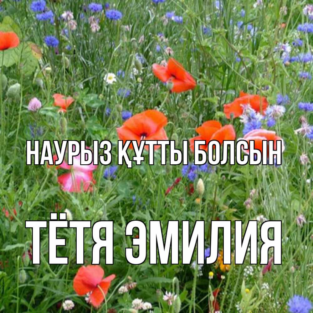 Открытка на каждый день с именем, Тётя-Эмилия Наурыз құтты болсын наурыз  4 Прикольная открытка с пожеланием онлайн скачать бесплатно 