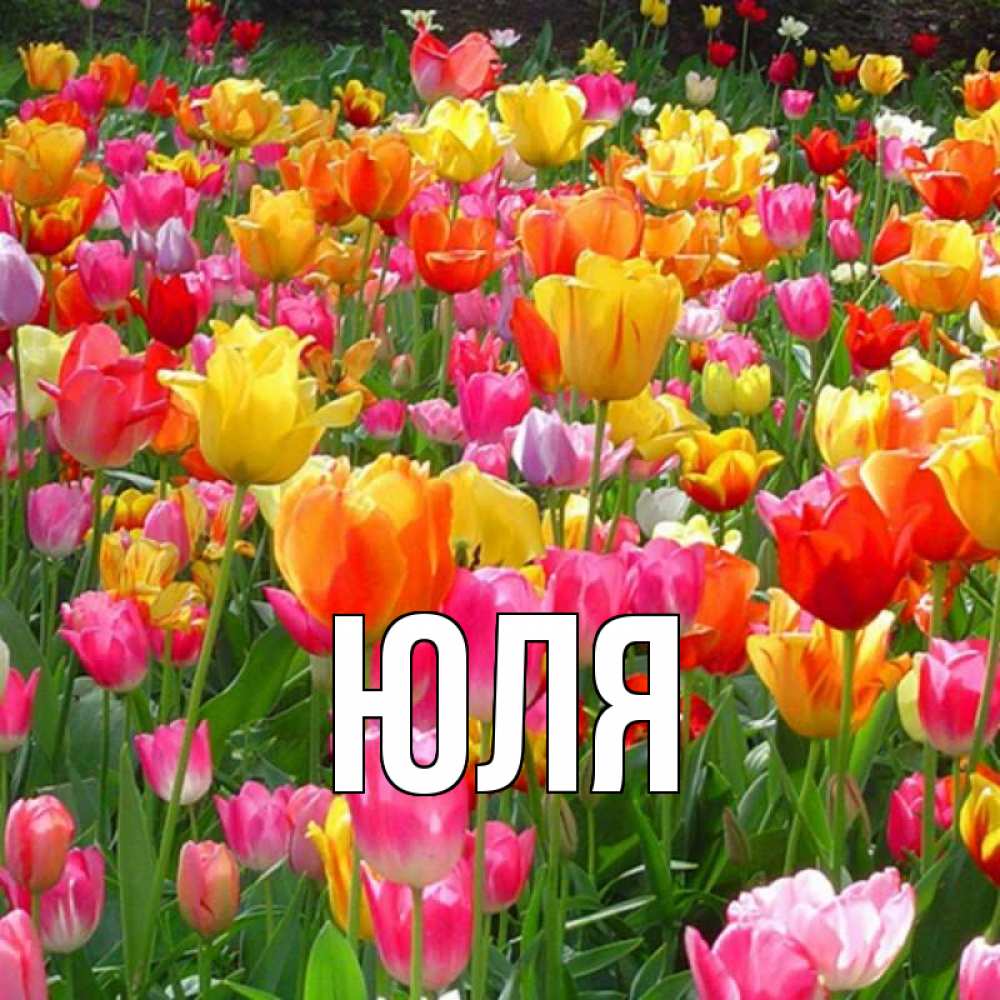 Открытка на каждый день с именем, Юля Главная праздник весны наурыз 4 Прикольная открытка с пожеланием онлайн скачать бесплатно 
