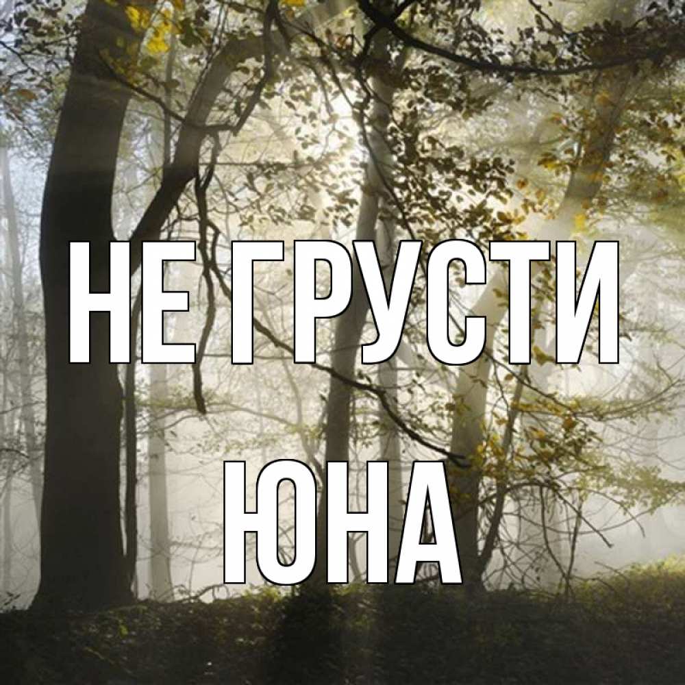 Открытка на каждый день с именем, Юна Не грусти лес и свет Прикольная открытка с пожеланием онлайн скачать бесплатно 
