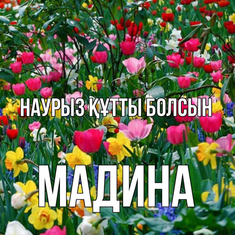 Открытка на каждый день с именем, Мадина Наурыз құтты болсын с наурызом поздравления для женщины Прикольная открытка с пожеланием онлайн скачать бесплатно 