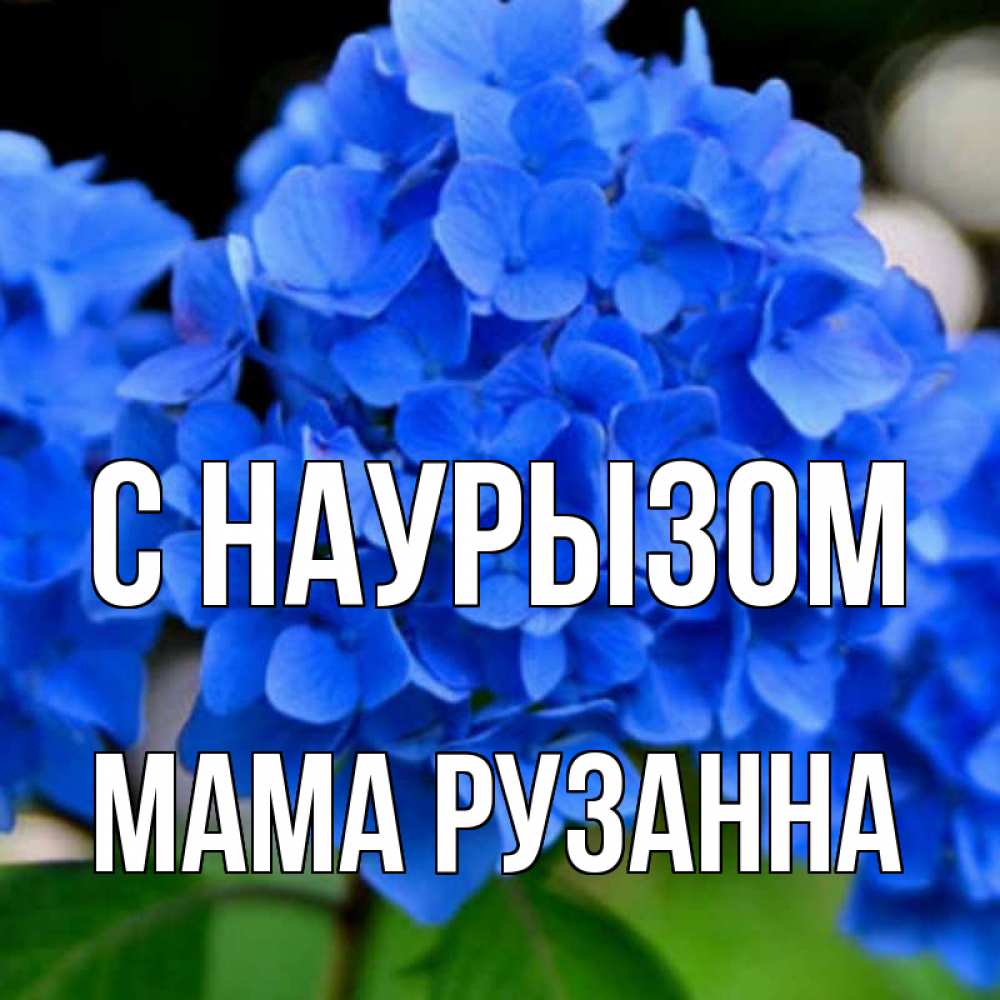 Открытка на каждый день с именем, Мама-Рузанна С наурызом синие цветы Прикольная открытка с пожеланием онлайн скачать бесплатно 