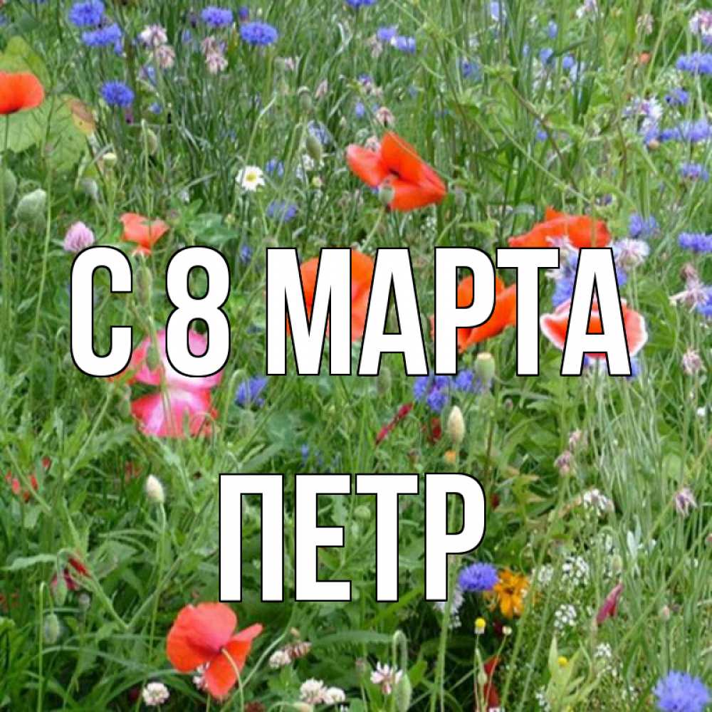 Открытка на каждый день с именем, Петр С 8 МАРТА международный женский день 4 Прикольная открытка с пожеланием онлайн скачать бесплатно 