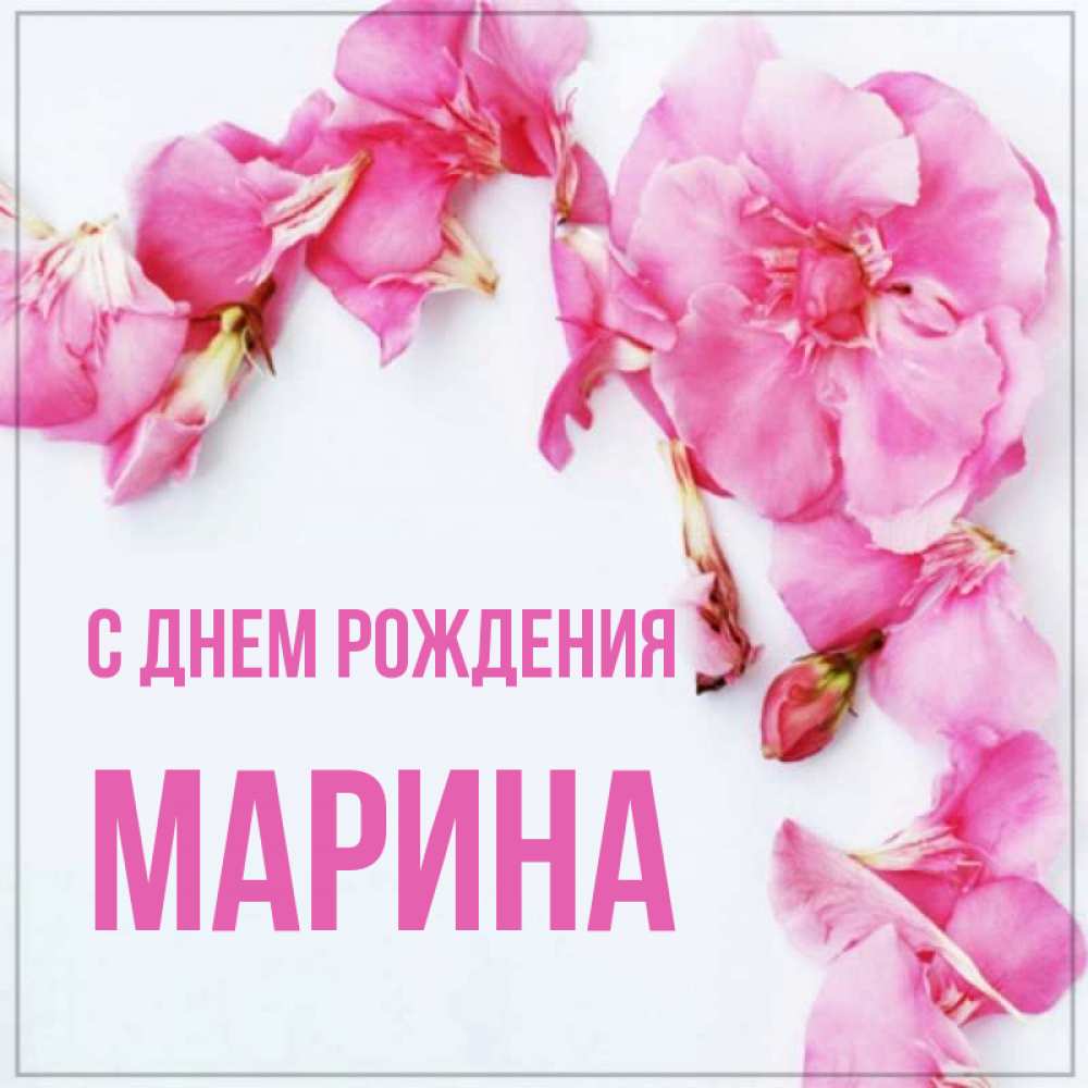 Открытка с именем Марина С днем рождения весенние цветы на открытке для  родных и близких. Открытки на каждый день с именами и пожеланиями.
