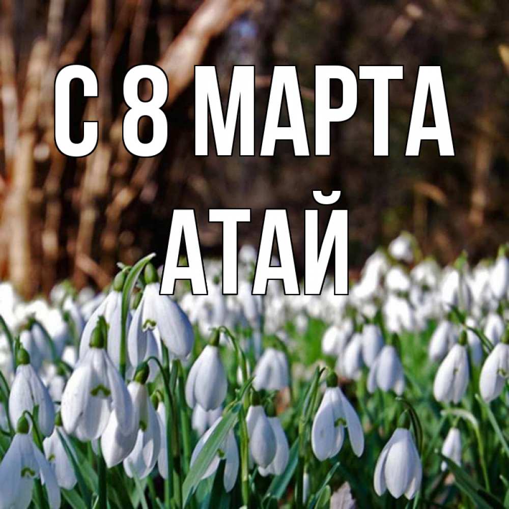 Картинка С 8 МАРТА, Атай