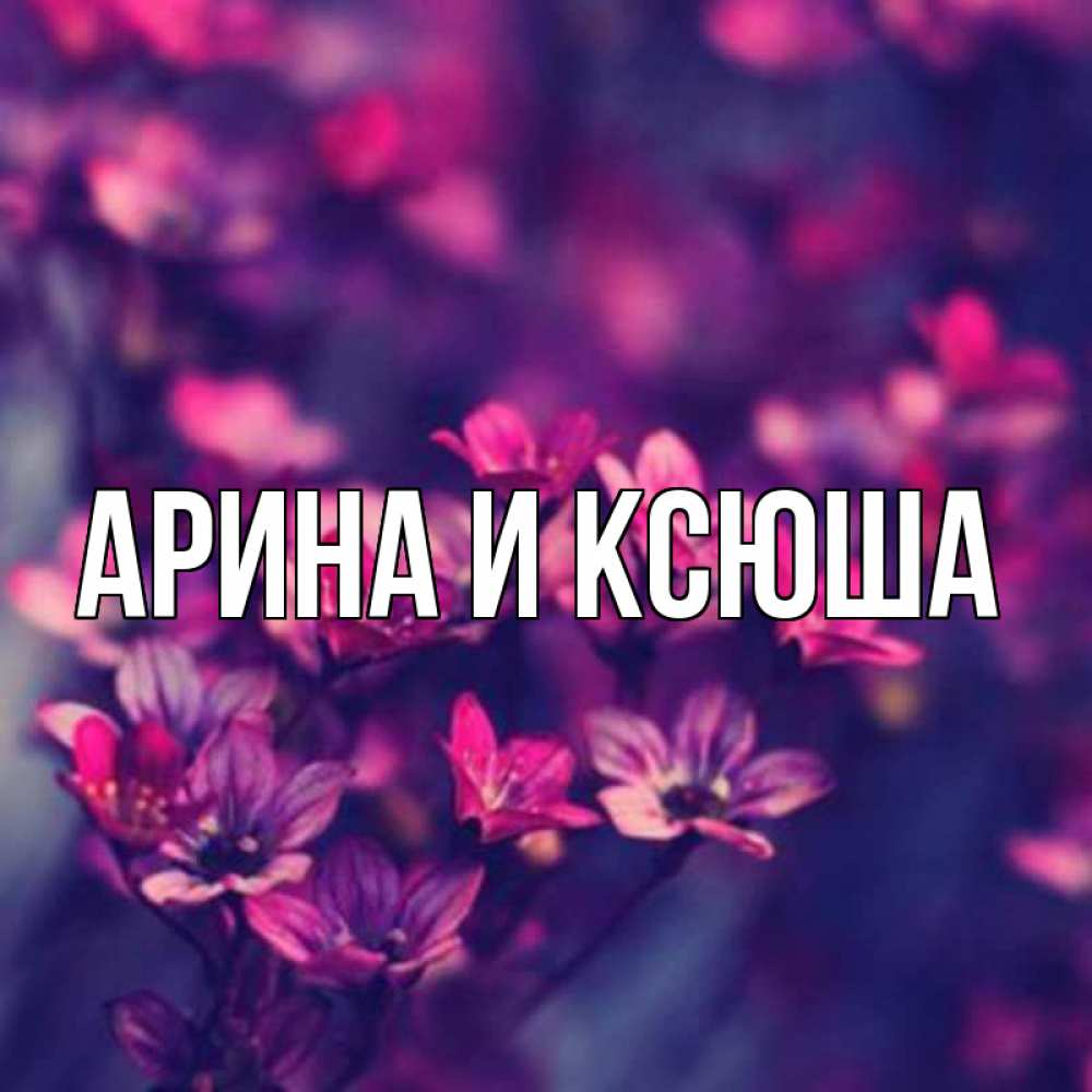 Открытка на каждый день с именем, Арина-и-Ксюша Главная небольшие цветы 1 Прикольная открытка с пожеланием онлайн скачать бесплатно 