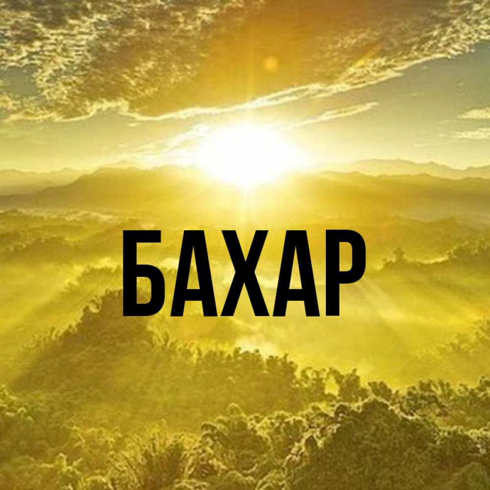 Открытка на каждый день с именем, Бахар Главная леса и небо в желтом Прикольная открытка с пожеланием онлайн скачать бесплатно 