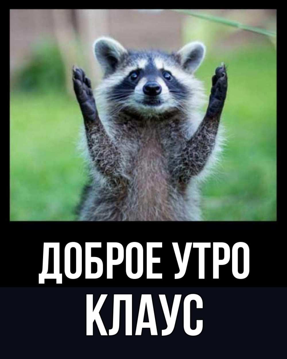 Открытка на каждый день с именем, Клаус Доброе утро хорошее настроение утречком Прикольная открытка с пожеланием онлайн скачать бесплатно 