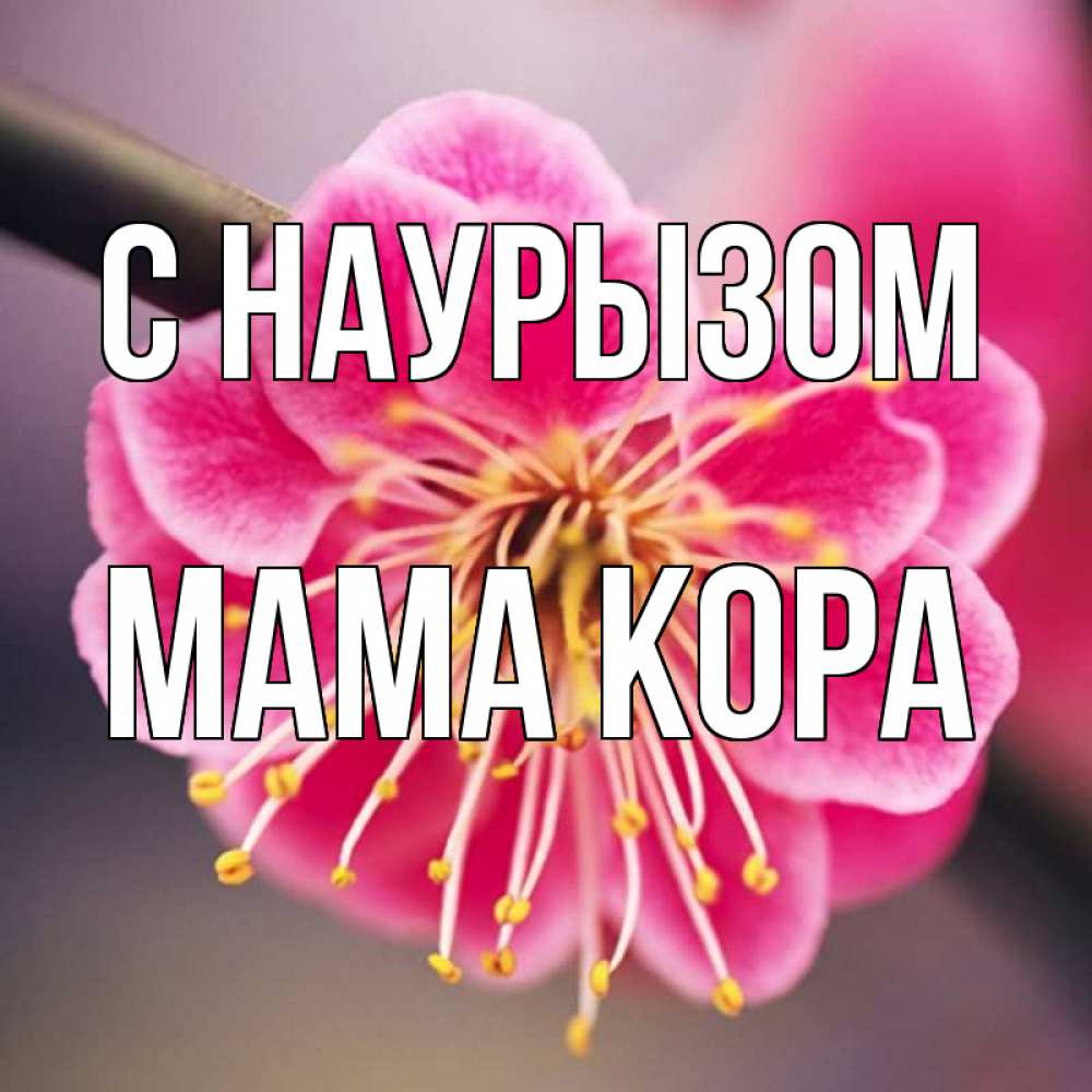 Открытка на каждый день с именем, Мама-Кора С наурызом цветы Прикольная открытка с пожеланием онлайн скачать бесплатно 