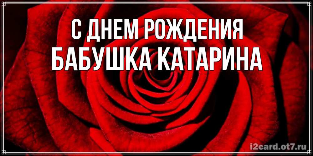 Открытка на каждый день с именем, Бабушка-Катарина С днем рождения алая роза Прикольная открытка с пожеланием онлайн скачать бесплатно 
