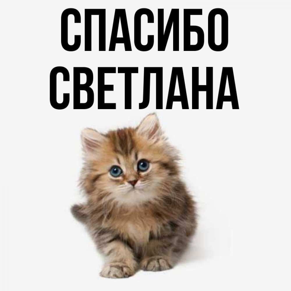 Спасибо Светлана Картинки
