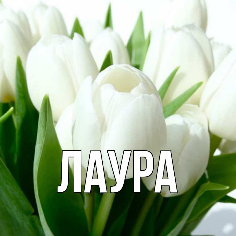 Картинка  с именем , Лаура