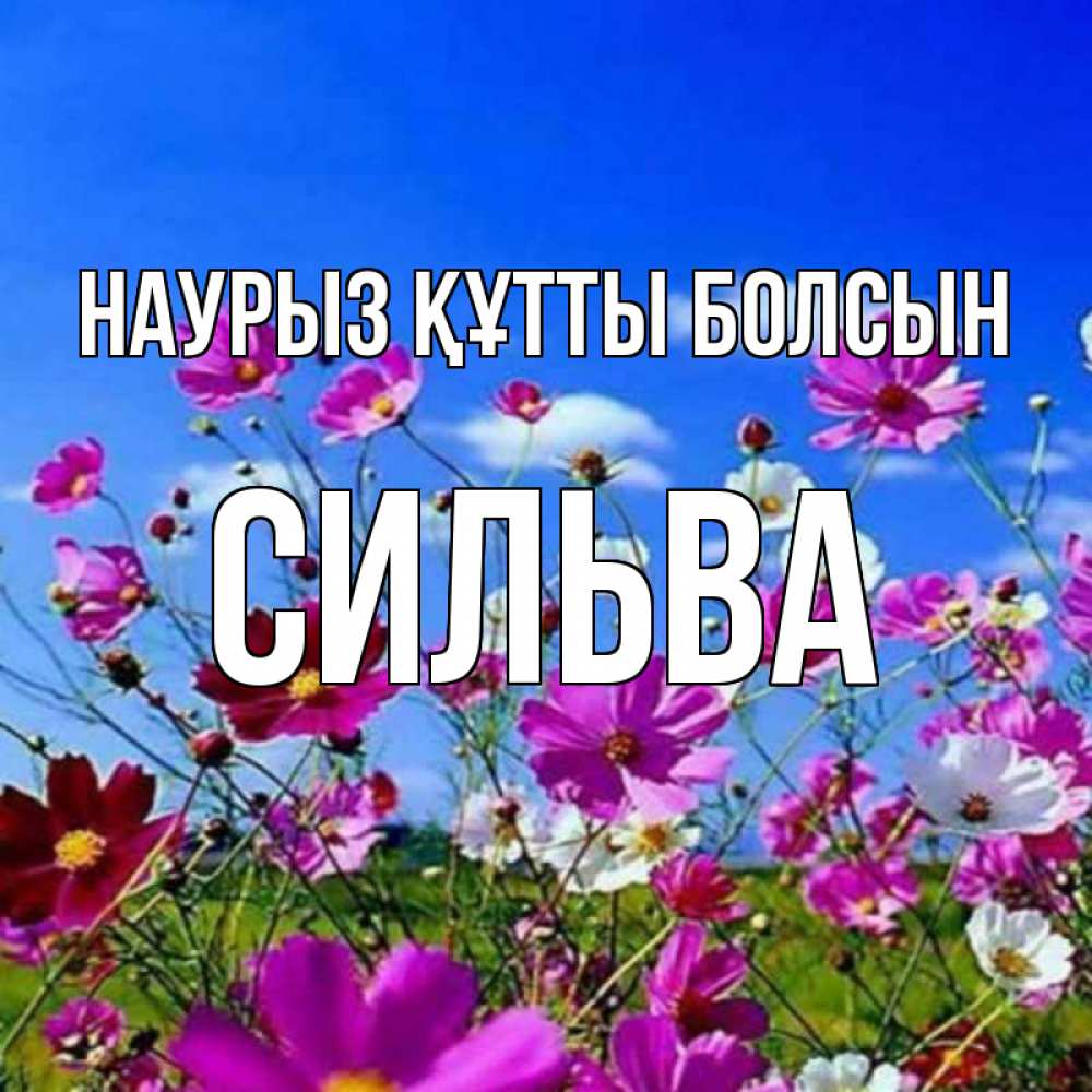 Открытка на каждый день с именем, Сильва Наурыз құтты болсын цветы Прикольная открытка с пожеланием онлайн скачать бесплатно 