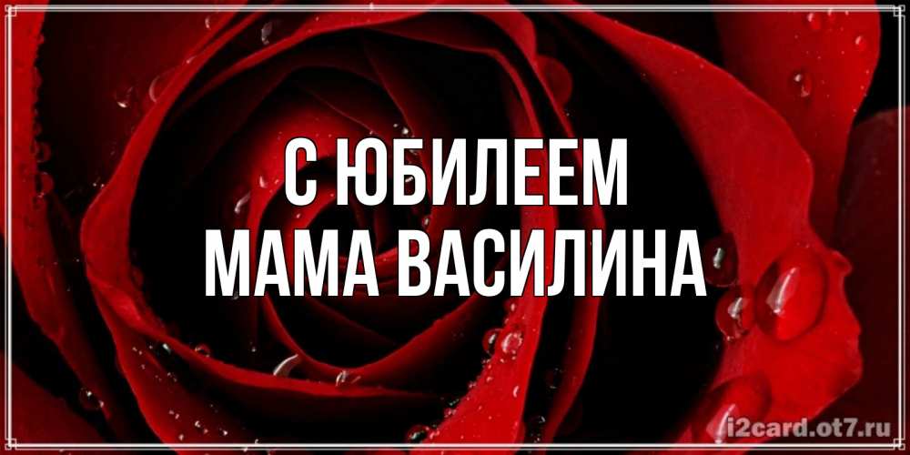 Открытка на каждый день с именем, Мама-Василина С юбилеем крупная бордовая роза Прикольная открытка с пожеланием онлайн скачать бесплатно 