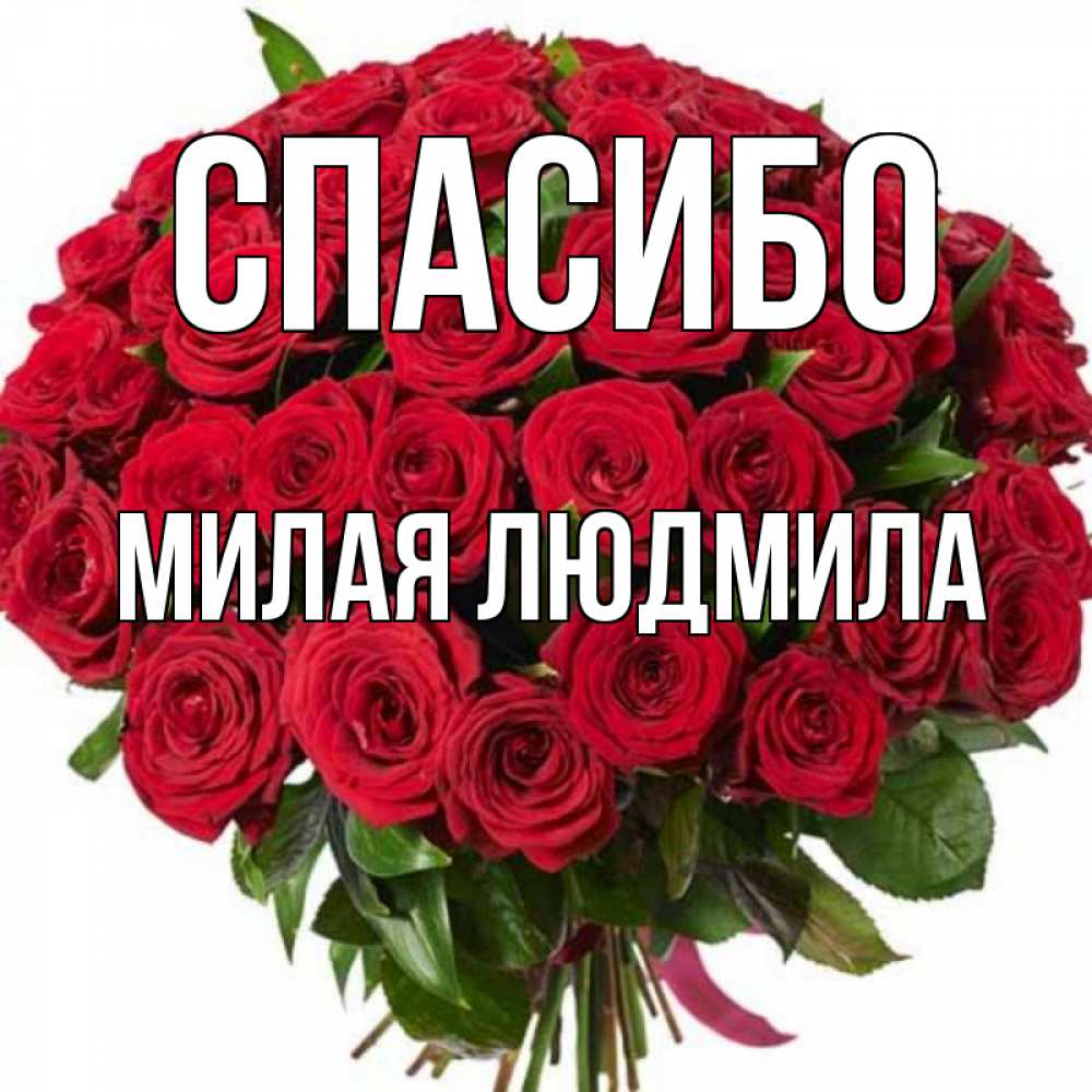 Цветы людмиле картинки
