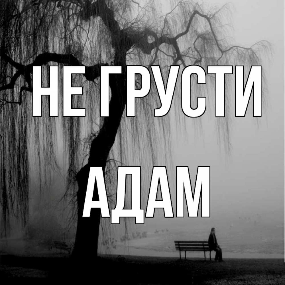 Открытка на каждый день с именем, Адам Не грусти висящие ветки дерева и лавочка под деревом Прикольная открытка с пожеланием онлайн скачать бесплатно 