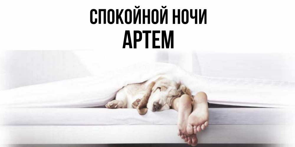 Открытка на каждый день с именем, Артем Спокойной ночи кровать с собакой пожелание сладких снов и спокойной ночи Прикольная открытка с пожеланием онлайн скачать бесплатно 