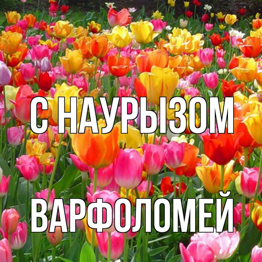 Открытка на каждый день с именем, Варфоломей С наурызом праздник весны наурыз 4 Прикольная открытка с пожеланием онлайн скачать бесплатно 