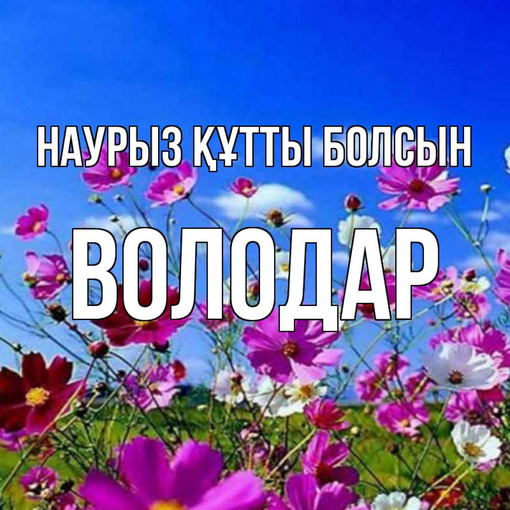 Открытка на каждый день с именем, Володар Наурыз құтты болсын цветы Прикольная открытка с пожеланием онлайн скачать бесплатно 