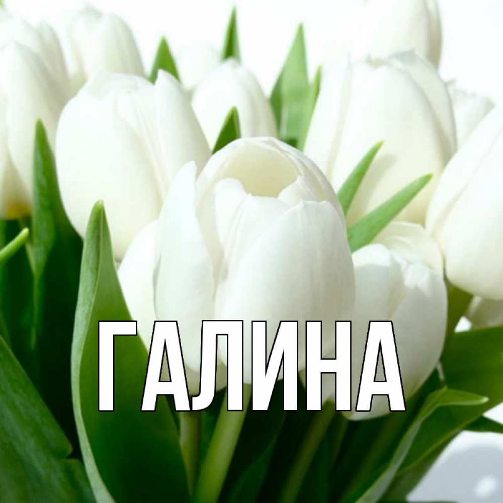 Картинка  с именем , Галина