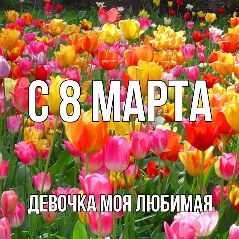 Открытка на каждый день с именем, Девочка-моя-любимая С 8 марта на международный женский день Прикольная открытка с пожеланием онлайн скачать бесплатно 