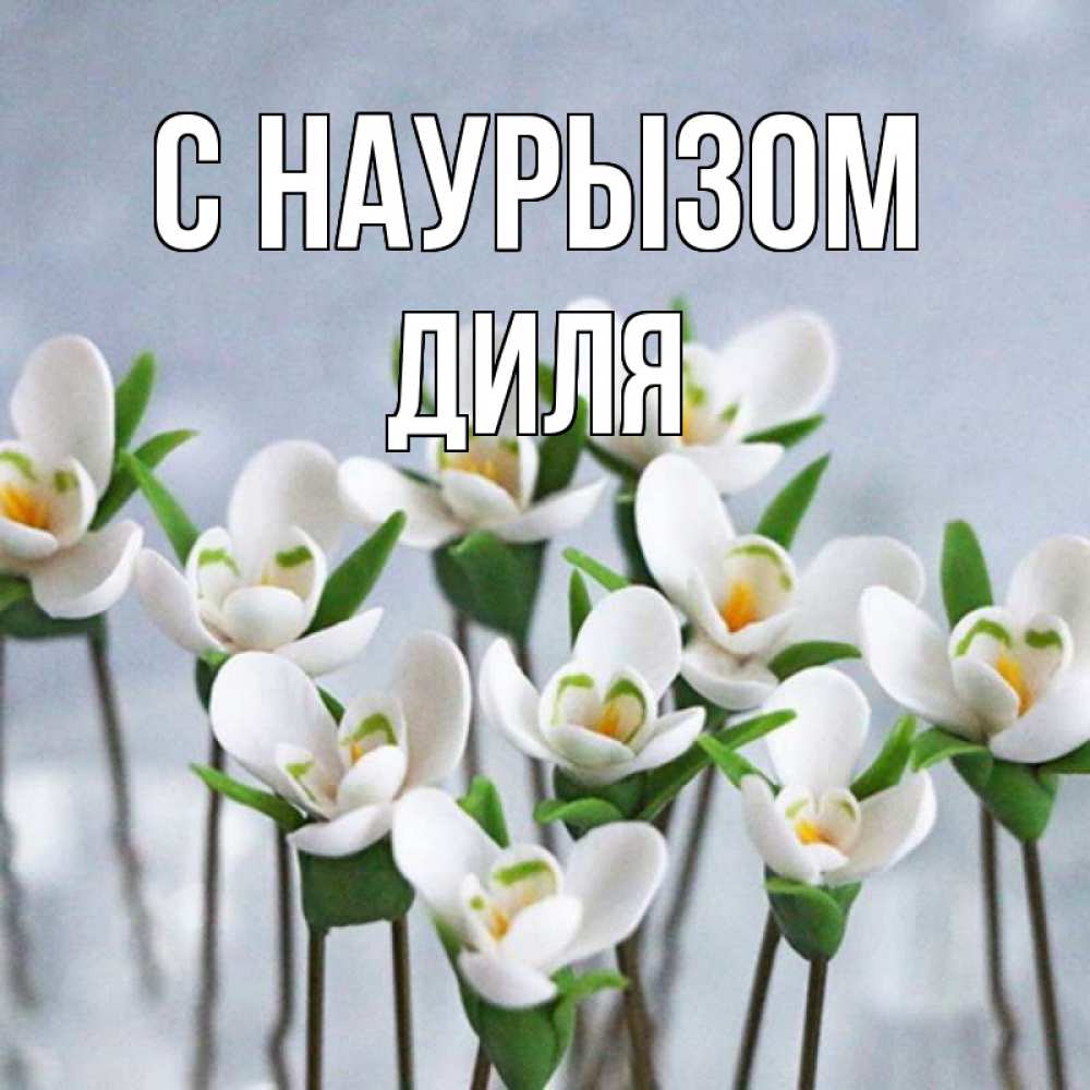 Открытка на каждый день с именем, Диля С наурызом весенние цветы Прикольная открытка с пожеланием онлайн скачать бесплатно 