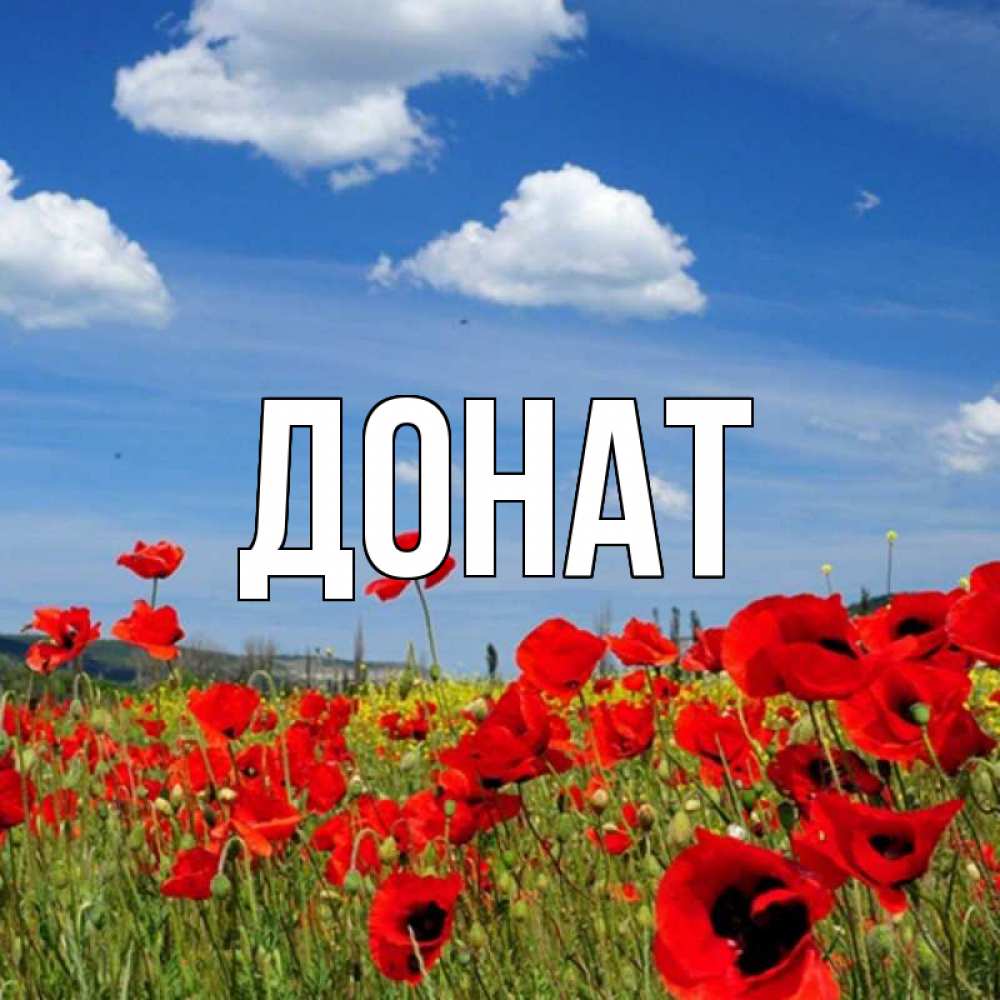 Открытка на каждый день с именем, Донат Главная наурыз  день 1 Прикольная открытка с пожеланием онлайн скачать бесплатно 