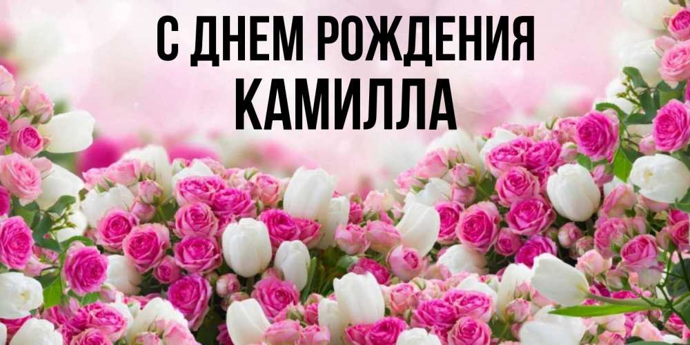 Открытка на каждый день с именем, Камилла С днем рождения открытка с разными розами Прикольная открытка с пожеланием онлайн скачать бесплатно 