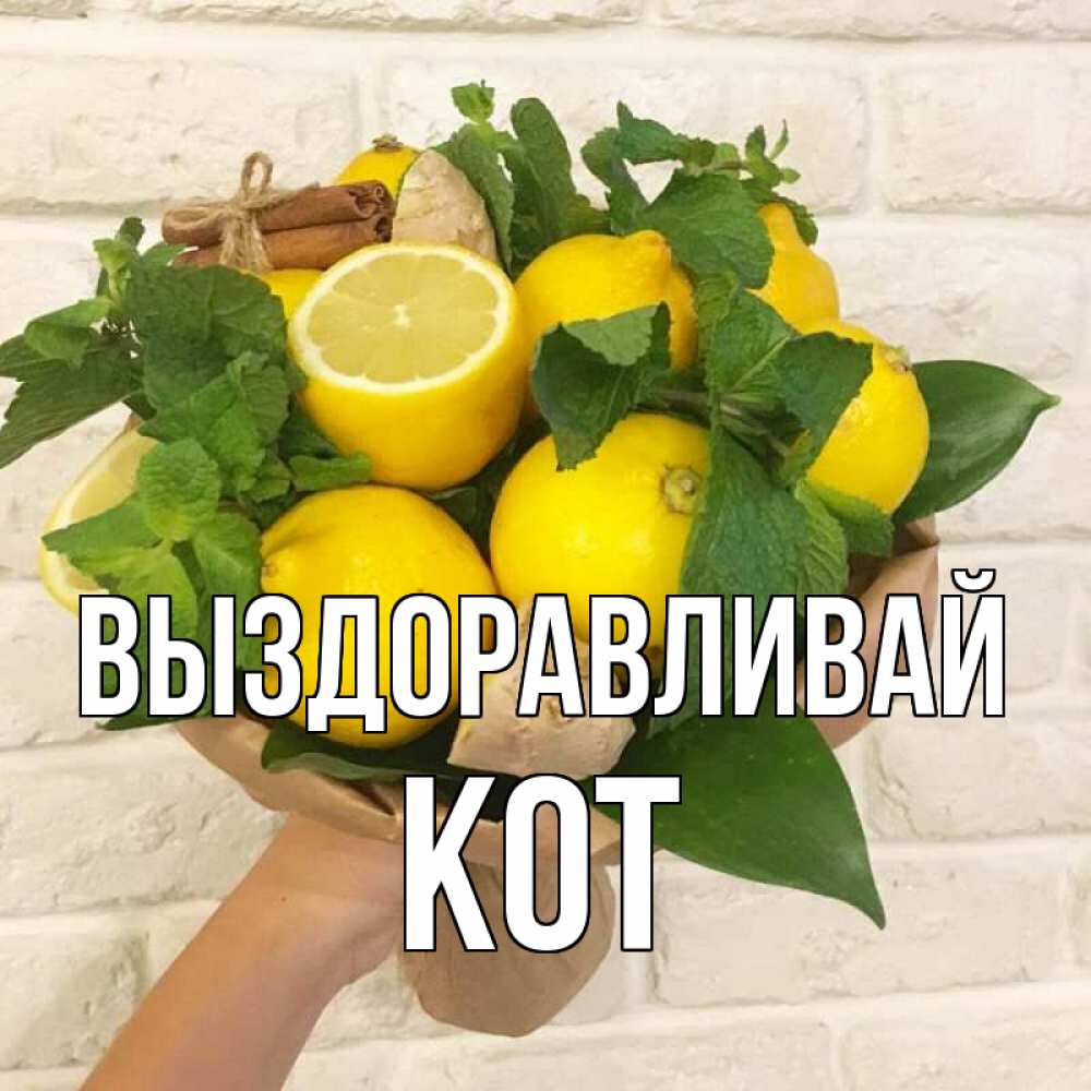 Открытка на каждый день с именем, Кот Выздоравливай витамины Прикольная открытка с пожеланием онлайн скачать бесплатно 