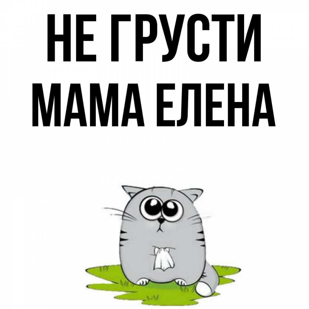 Открытка на каждый день с именем, Мама-Елена Не грусти грустный котяра Прикольная открытка с пожеланием онлайн скачать бесплатно 