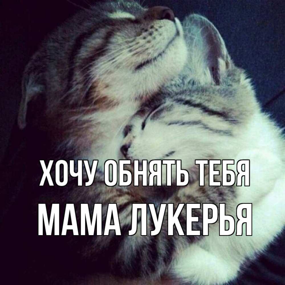 Открытка на каждый день с именем, Мама-Лукерья Хочу обнять тебя полосатики Прикольная открытка с пожеланием онлайн скачать бесплатно 