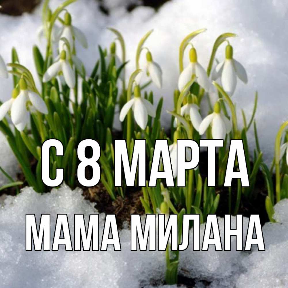 Открытка на каждый день с именем, Мама-Милана С 8 МАРТА цветы весенние Прикольная открытка с пожеланием онлайн скачать бесплатно 