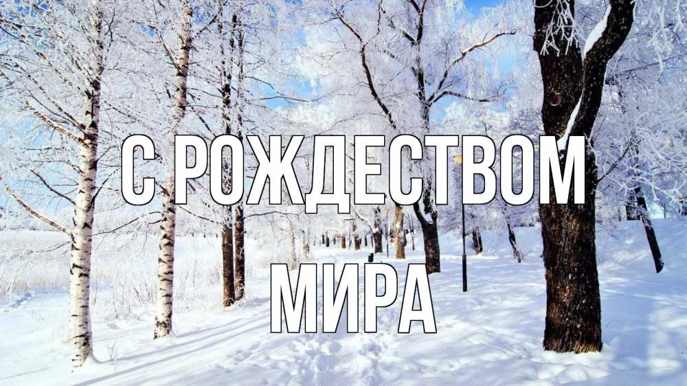 Открытка на каждый день с именем, Мира С рождеством зимний лес Прикольная открытка с пожеланием онлайн скачать бесплатно 