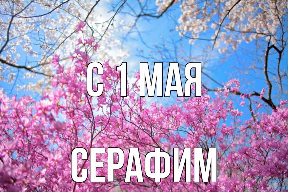 Открытка на каждый день с именем, Серафим С 1 мая С 1 мая Прикольная открытка с пожеланием онлайн скачать бесплатно 