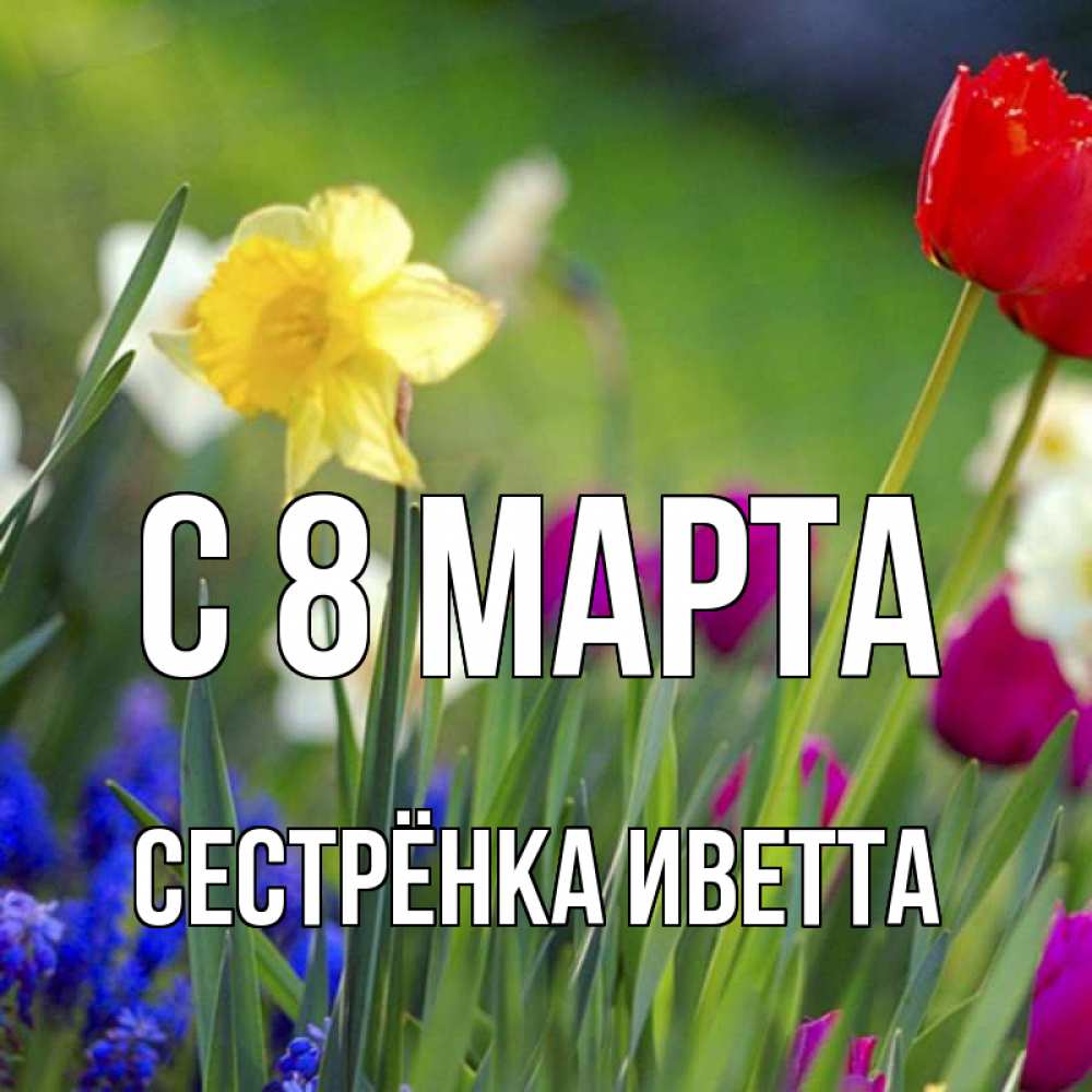 Открытка на каждый день с именем, Сестрёнка-Иветта С 8 МАРТА международный женский день 3 Прикольная открытка с пожеланием онлайн скачать бесплатно 