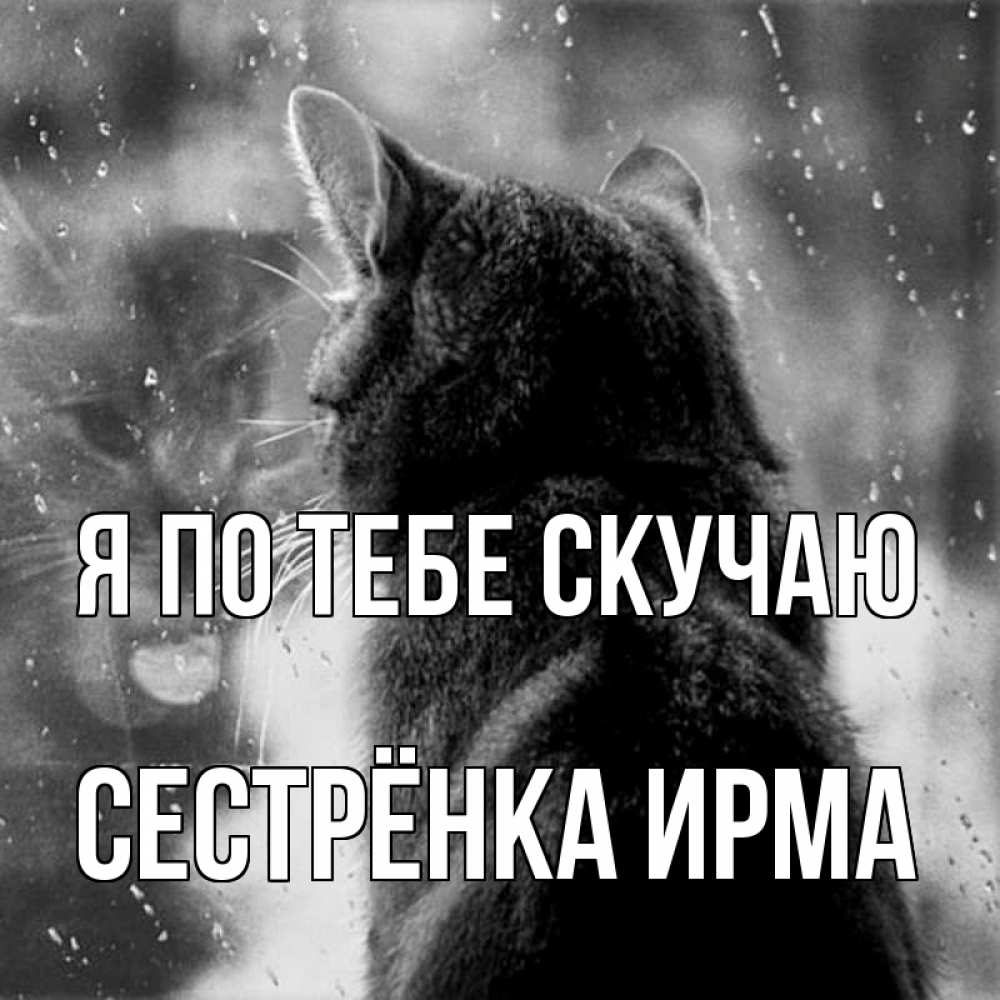 Открытка на каждый день с именем, Сестрёнка-Ирма Я по тебе скучаю скорее ко мне приходи 1 Прикольная открытка с пожеланием онлайн скачать бесплатно 