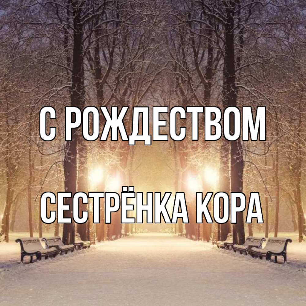 Открытка на каждый день с именем, Сестрёнка-Кора С рождеством зима, парк, фонарь, лес Прикольная открытка с пожеланием онлайн скачать бесплатно 