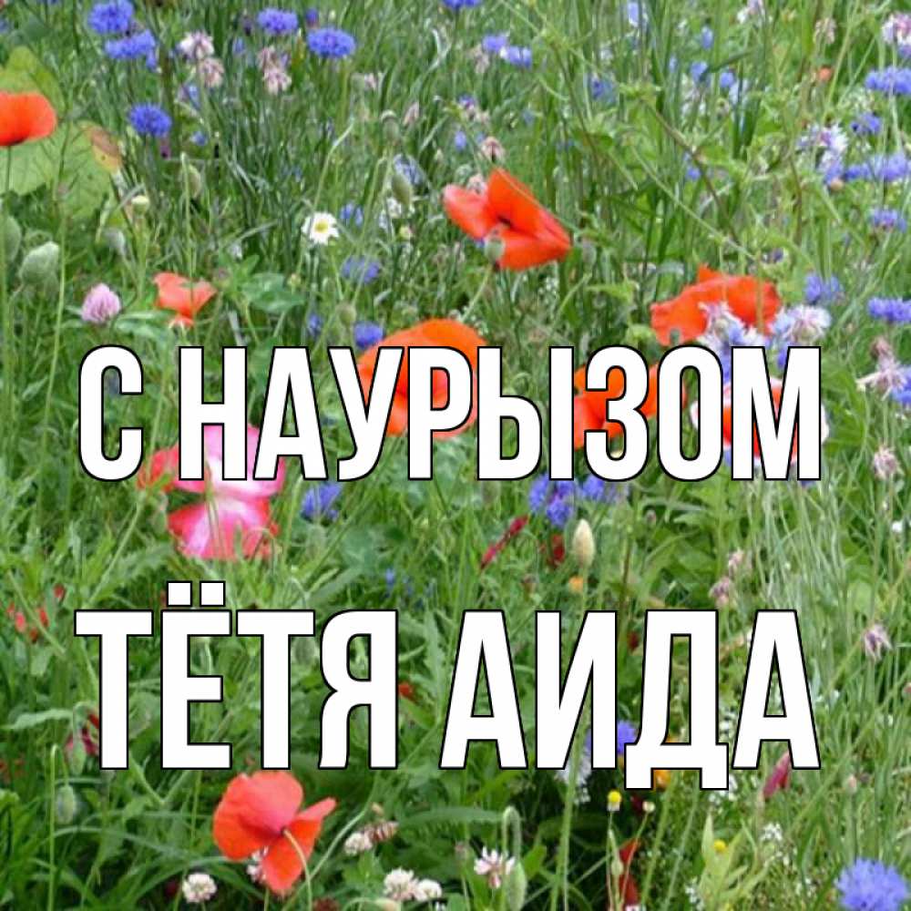 Открытка на каждый день с именем, Тётя-Аида С наурызом праздник весны наурыз супер открытка Прикольная открытка с пожеланием онлайн скачать бесплатно 