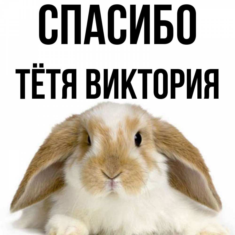 Открытка на каждый день с именем, Тётя-Виктория Спасибо коричнево белый заяц Прикольная открытка с пожеланием онлайн скачать бесплатно 