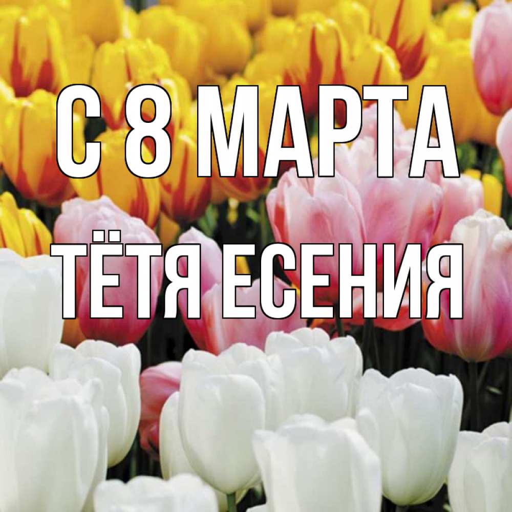 Открытка на каждый день с именем, Тётя-Есения С 8 МАРТА разноцветные цветы Прикольная открытка с пожеланием онлайн скачать бесплатно 