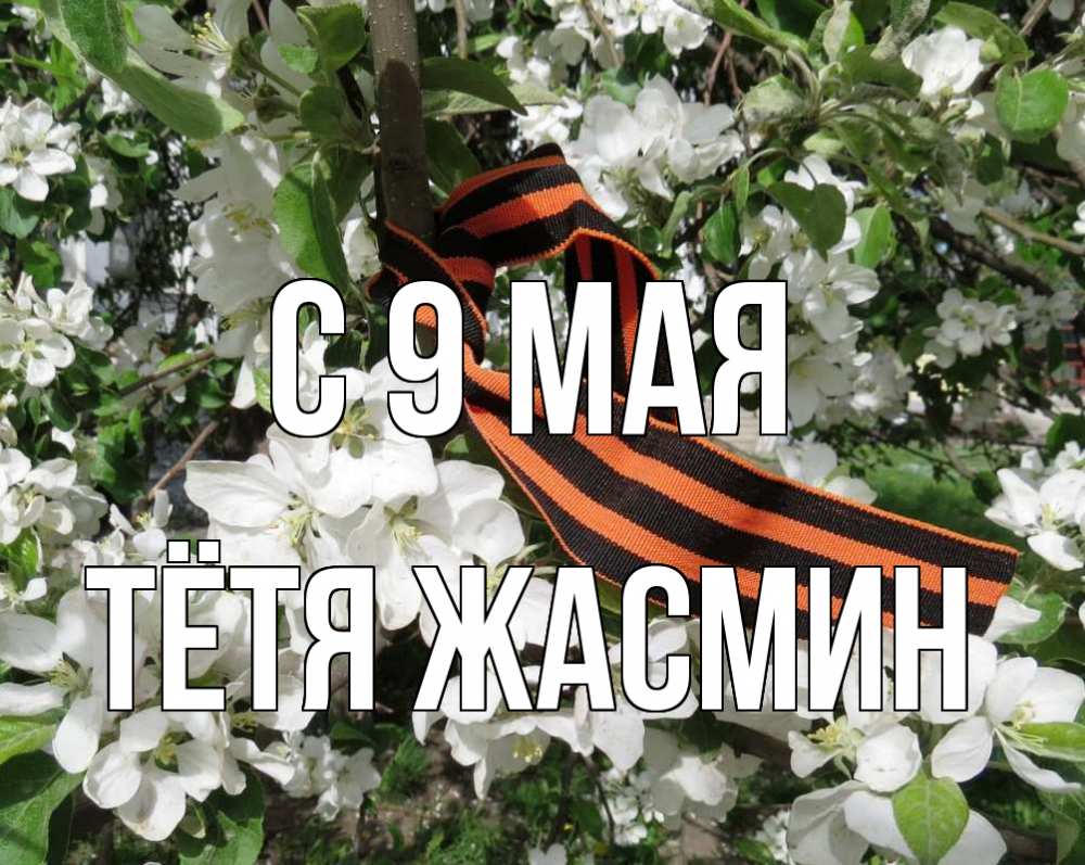 Открытка на каждый день с именем, Тётя-Жасмин С 9 мая 9 мая Прикольная открытка с пожеланием онлайн скачать бесплатно 