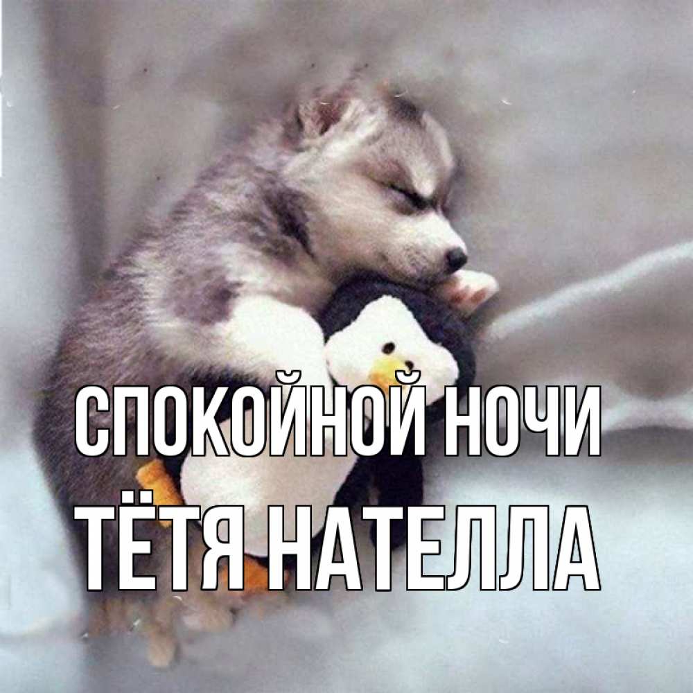 Открытка на каждый день с именем, Тётя-Нателла Спокойной ночи обнимашки щенка и пингвина Прикольная открытка с пожеланием онлайн скачать бесплатно 