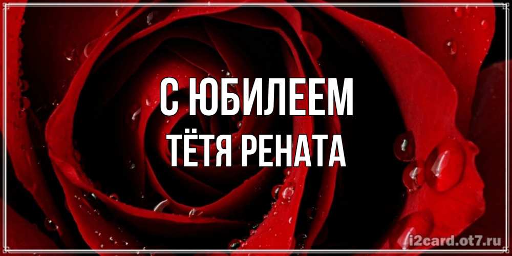 Открытка на каждый день с именем, Тётя-Рената С юбилеем крупная бордовая роза Прикольная открытка с пожеланием онлайн скачать бесплатно 