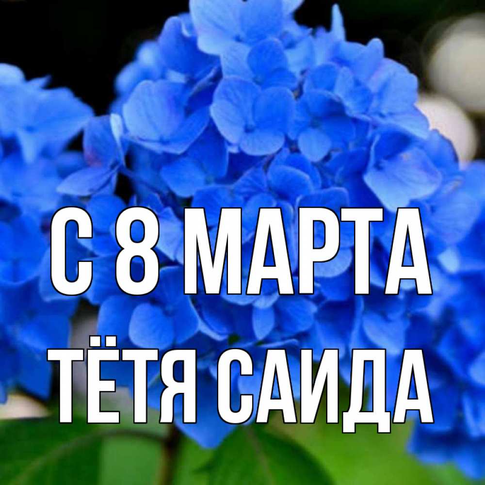 Открытка на каждый день с именем, Тётя-Саида С 8 марта синие цветы Прикольная открытка с пожеланием онлайн скачать бесплатно 