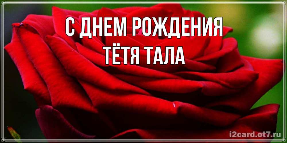 Открытка на каждый день с именем, Тётя-Тала С днем рождения розочка очень красивая Прикольная открытка с пожеланием онлайн скачать бесплатно 