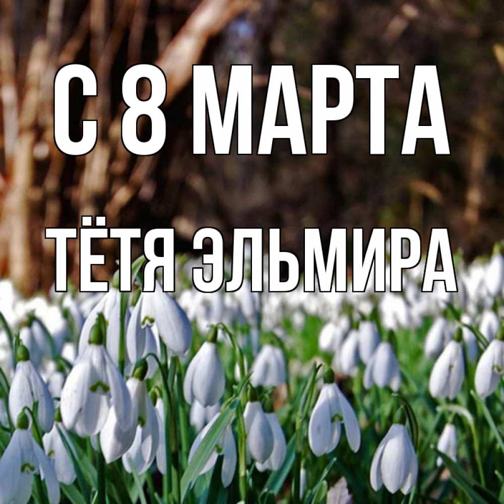 Открытка на каждый день с именем, Тётя-Эльмира С 8 МАРТА с подснежниками 1 Прикольная открытка с пожеланием онлайн скачать бесплатно 